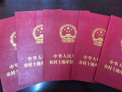 进城落户的农民，仍可享有土地承包经营权及征地补偿费