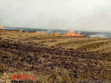 农民烧麦茬引发大火，被罚2000元？法院：撤销处罚